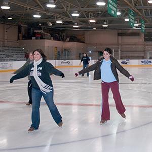 People skating in 鸟类冰场